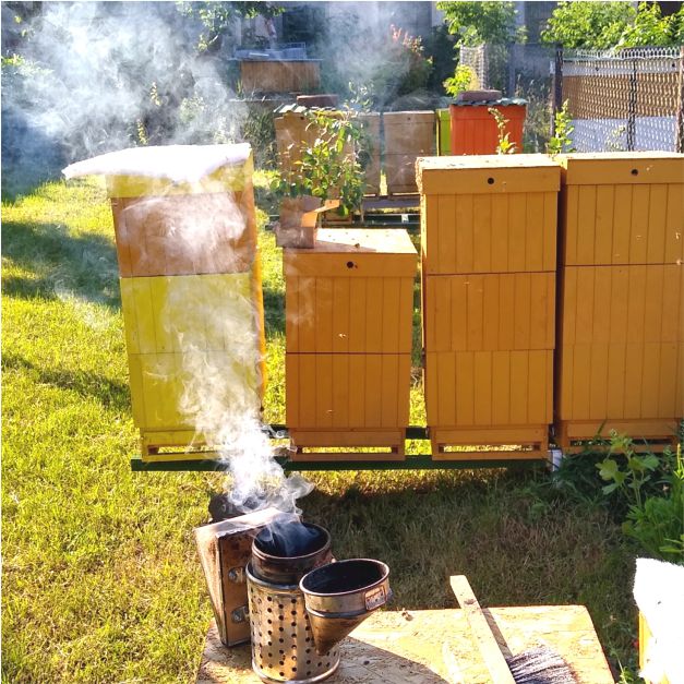 Včelia farma